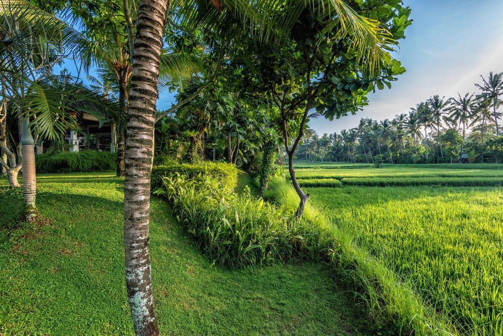 Villa Sabandari Ubud  Bagian luar foto